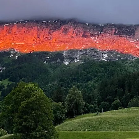 Ferienwohnung Im Gruenen Grindelwald