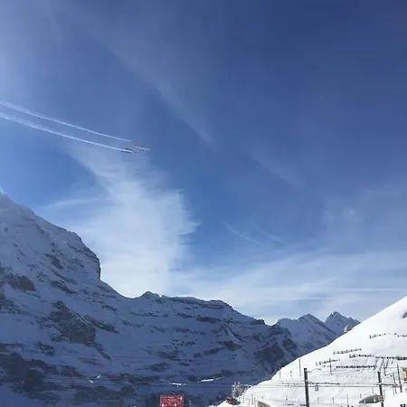 Apartment Ferienwohnung Im Gruenen