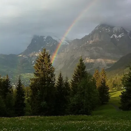 Ferienwohnung Im Gruenen Grindelwald