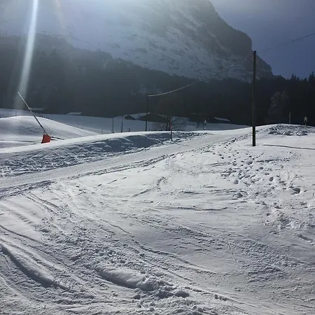 Apartment Ferienwohnung Im Gruenen Grindelwald