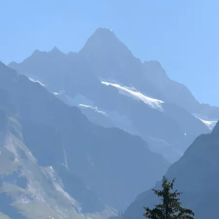 Ferienwohnung Im Gruenen Apartment
