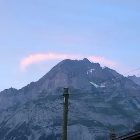 Ferienwohnung Im Gruenen Apartment *
