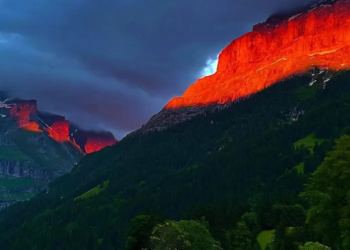Im Gruenen Grindelwald
