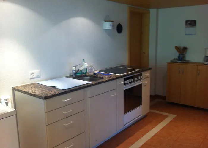 Lejlighed Im Gruenen Grindelwald