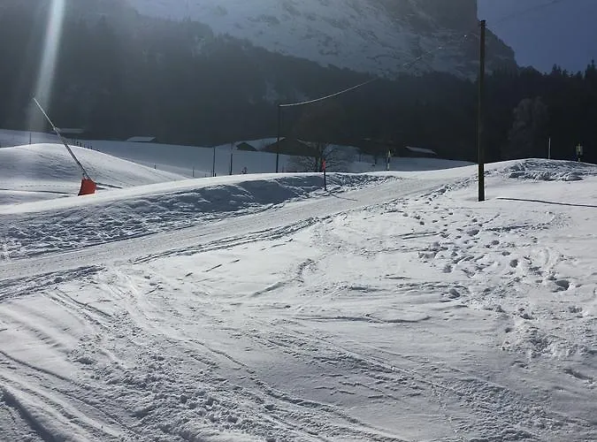 Lejlighed Im Gruenen Grindelwald