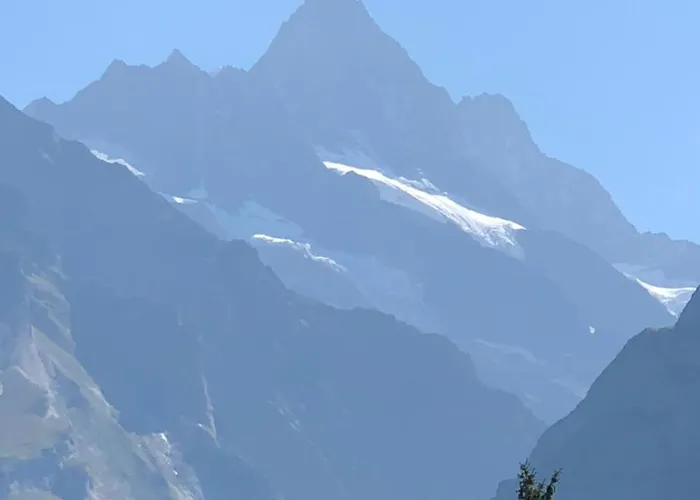 Im Gruenen Lejlighed