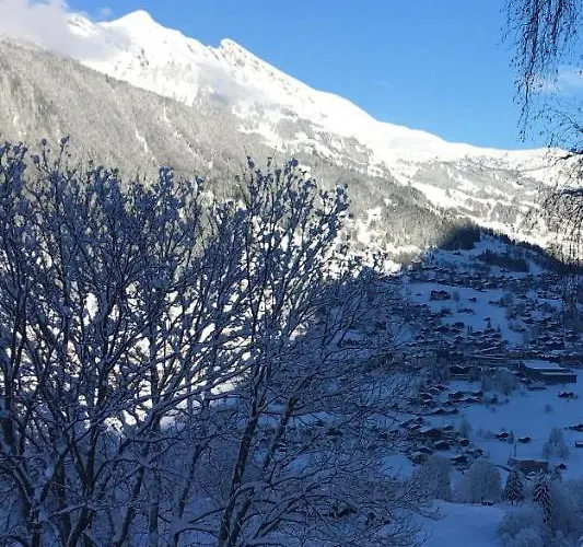 Lägenhet Im Gruenen Grindelwald