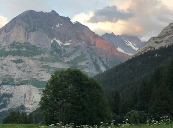 Lejlighed Im Gruenen *