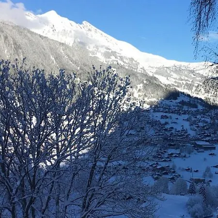 Apartamento Im Grünen Grindelwald